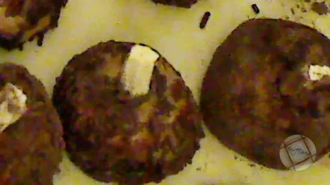 Cannon Ball Rum Balls