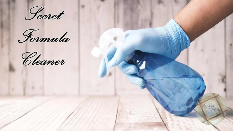 Inexpensive Secret Formula Cleaner