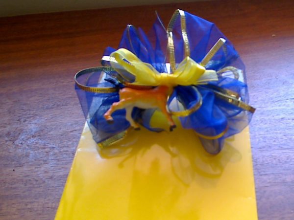 Scrunchy Ribbon Bow