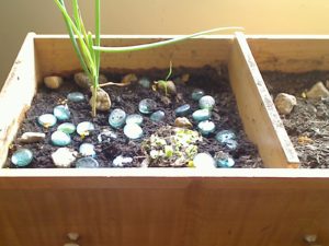 Apartment Vegetale Garden in a Drawer