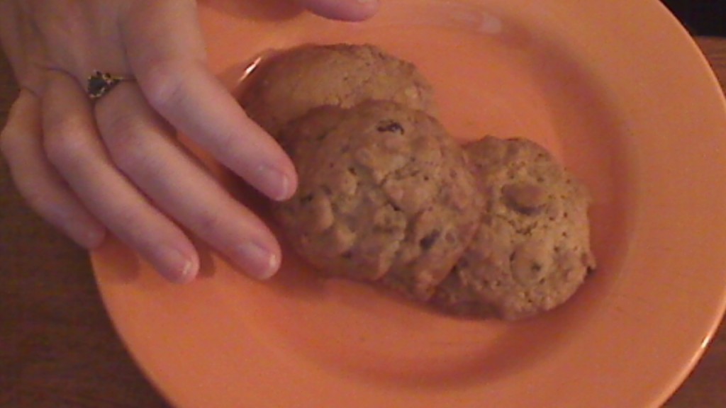 Chocolate Chip Fruit Muesli Cookies