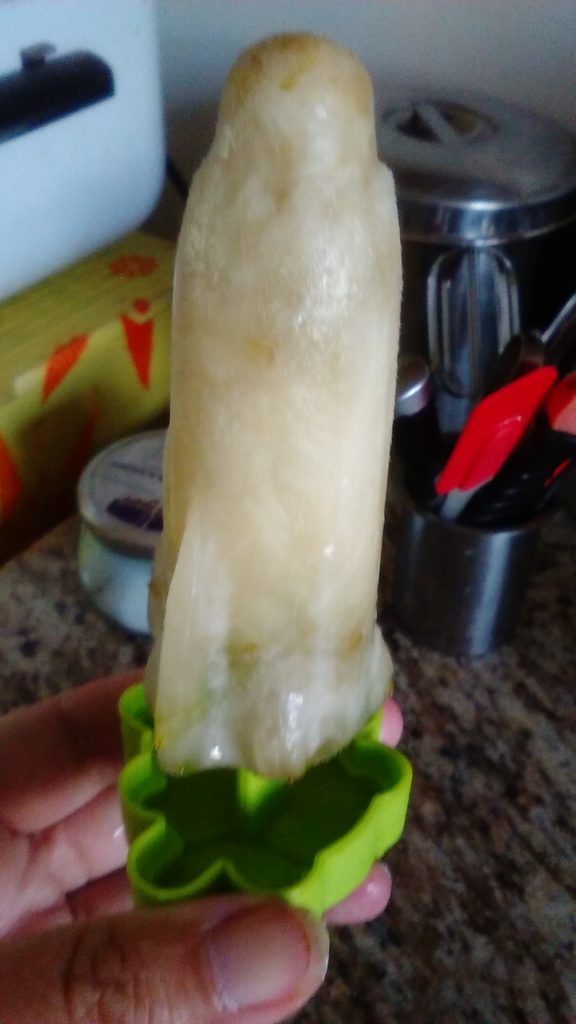 Virgin Mojita Popsicle