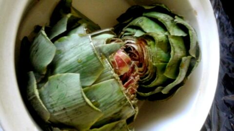 artichokes