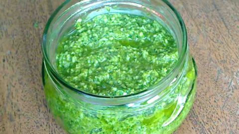 Fresh Basil and Pine Nut Pesto