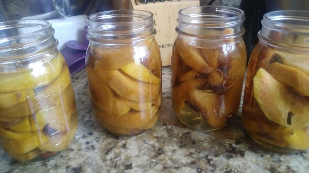 Peaches Preserved in Vodka