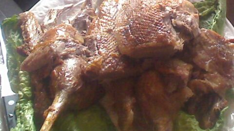 Roasted and carved goose