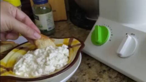 How to make clam dip in a Braun food processor
