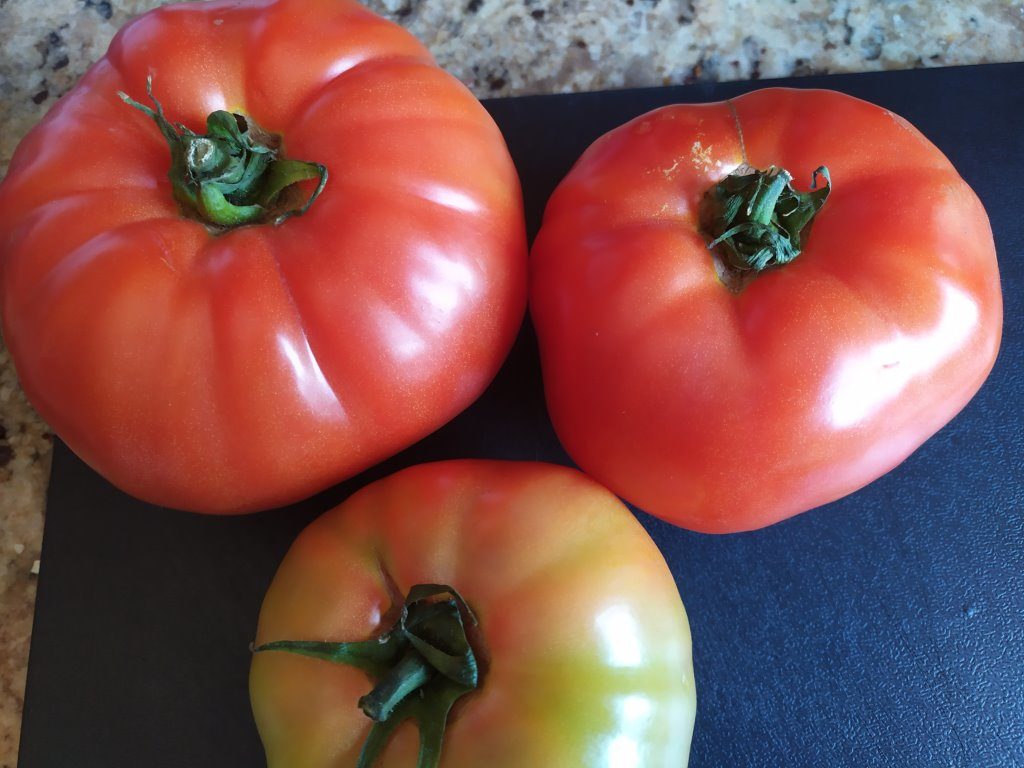 three tomatoes