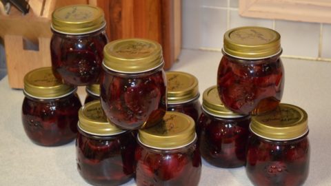 Watermelon Pickled Beets