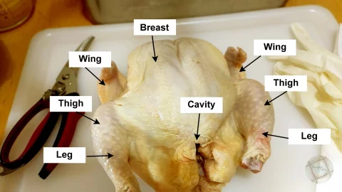 chicken parts