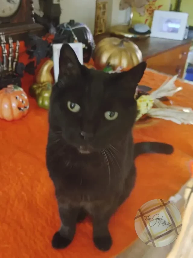 What's Cookin'? Something Spooky