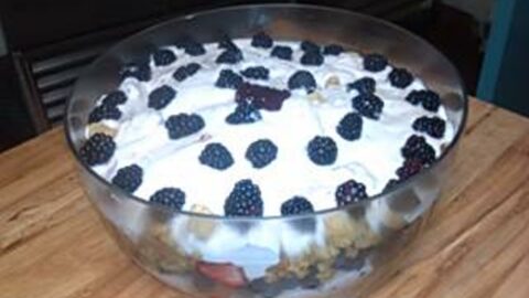 Yogurt Fruit Trifle