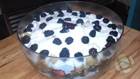 Yogurt Fruit Trifle