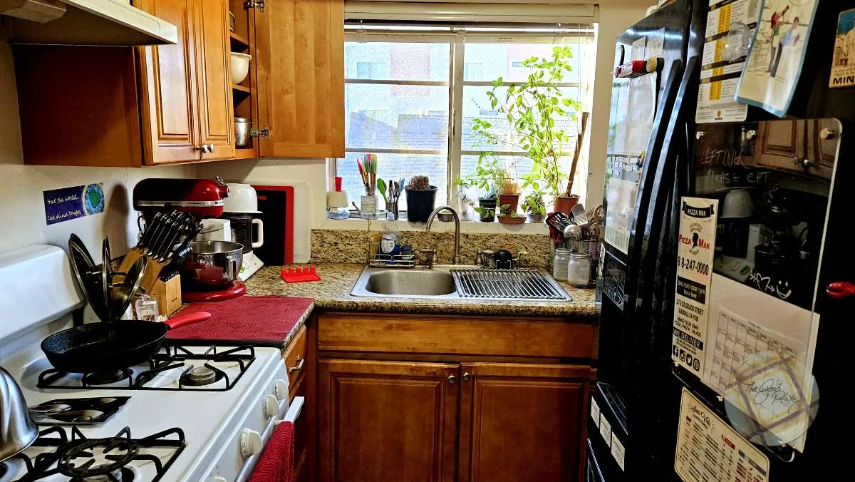 My tiny kitchen window with the plant hospital