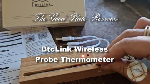 Btslink Probe thermometer
