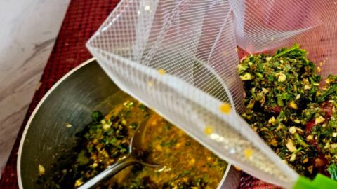 Chimchurri Food Processor