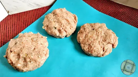 Rosemarie Turkey Burger Formed