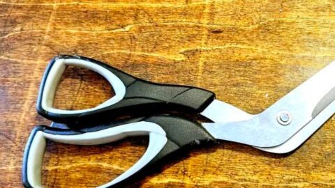 Pizza Scissors