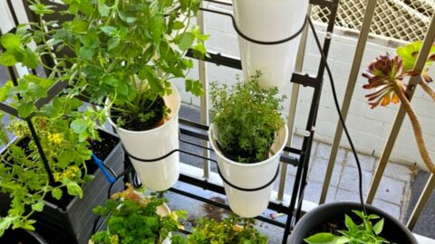 Flower Display Stand