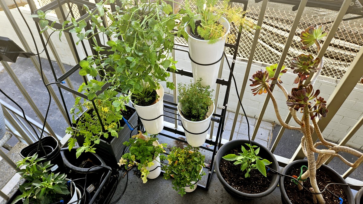 Flower Display Stand